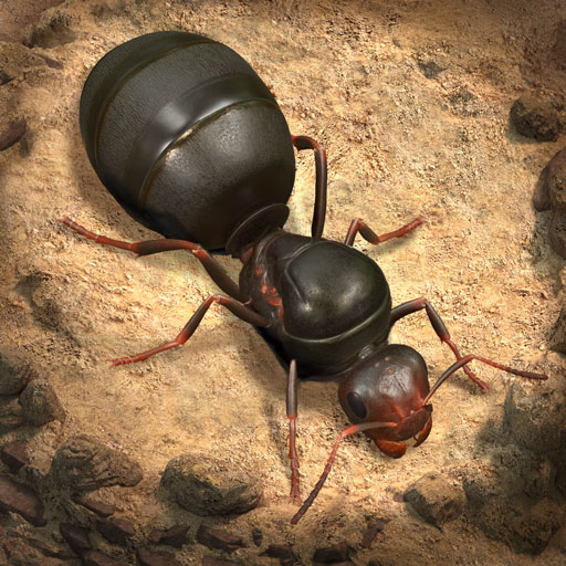 The Ants: Underground Kingdom – Ant Coins | Recarga por User ID 🌎